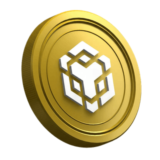 Binance BNB Kryptowährungs-Coin auf der Einsteigerseite für neue Trader
